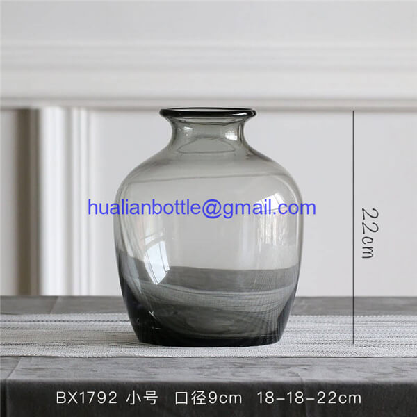 Hydroponic glass vase