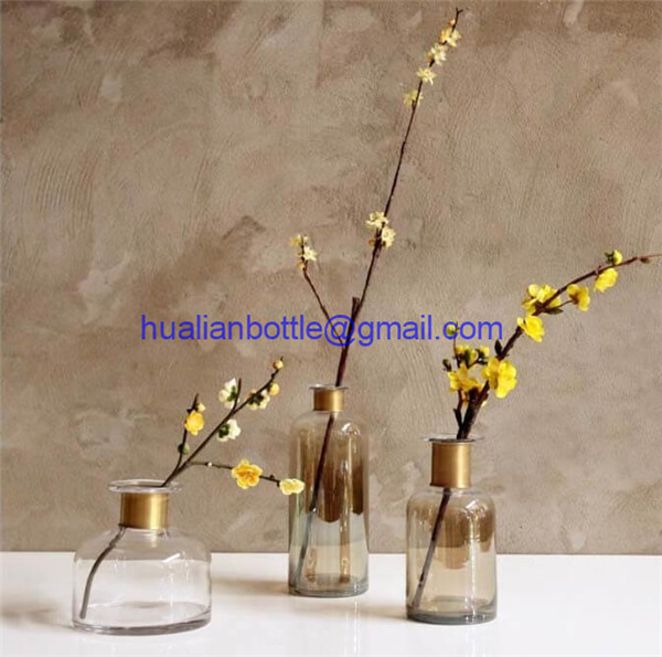 Metal Ring Hydroponic Glass Vase
