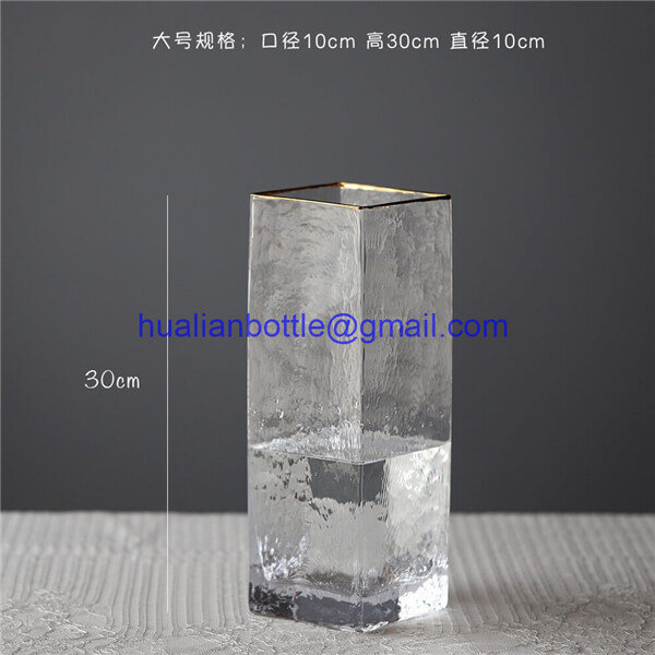 Phnom Penh Transparent Glass Vase