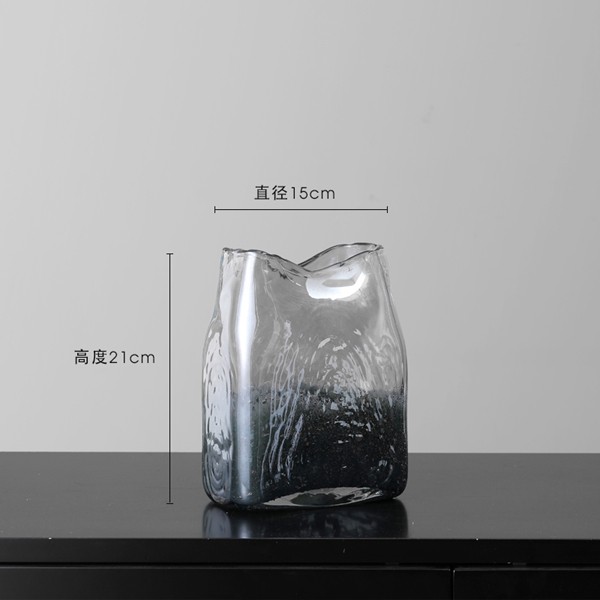 Hydroponic glass vase decoration
